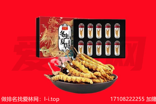 吉林桦甸市回收虫草.jpg